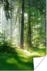 MuchoWow® Poster Natur - Bäume - Wald - Grün - Sonne - Gras Produktbild-Vorschau 1
