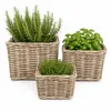 Rattan Pflanzkorb Set 3 Stück Natur – Übertopf / Blumentopf Produktbild-Vorschau 1