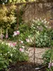 Rankgitter Rost 200 x 46 cm - Rankhilfe Garten - Produktbild-Vorschau 2
