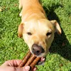 Gusto Pets Kabanossi für Hunde mit Huhn, Reis und Leinsamen Produktbild-Vorschau 2