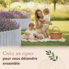 Floranica Bordure de Jardin en bois 30 x 200 cm Argent Voir les images du produit 6