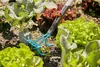 Gardena combisystem Rastrello coltivatore 2 in 1 GARDENA Anteprima dell’immagine prodotto 3