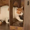 Mondeer Katzenschrank Katzentoilette mit abnehmbare Produktbild-Vorschau 8