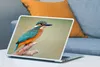 MuchoWow® Laptop Aufkleber Sticker Cover Vogel - Eisvogel - Produktbild-Vorschau 4