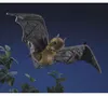 Folkmanis Handpuppe 51 cm Fledermaus Flughund 3191 Produktbild-Vorschau 3