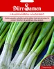 Lauchzwiebel winterhart | Lauchzwiebelnsamen von Dürr Samen Produktbild-Vorschau 3