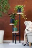 A multi-tiered plant stand with three potted plants, placed indoors next to an armchair. Náhled obrázku produktu