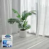 A box of Dr. Beckmann Gardinen Weiß detergent is placed on a tiled floor in front of sheer white curtains, with a potted palm plant nearby. Podgląd zdjęcia produktu