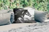 MuchoWow® Outdoor Kissen - Pferd - Tiere - Schwarz - Weiß - Produktbild-Vorschau 2