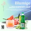 ICH BIN 10 LITER Waldmeister Sirup 1 x 0,7l Produktbild-Vorschau 2