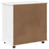 vidaXL Armoire sur roulettes, 63,5 x 39 x 65,5 cm, bois Voir les images du produit 7
