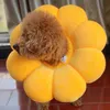 A small brown dog wearing a yellow sunflower-shaped collar. Produktbild-Vorschau