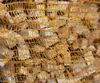 Anzündholz im Netzbeutel Anmachholz Anfeuerholz Brennholz Produktbild-Vorschau 4