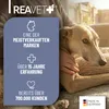 REAVET Beruhigungs Drops für Hunde 350g (140 Stück) – Relax Produktbild-Vorschau 5