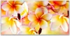Tulup Leinwand-Bilder 120x60 Wandbild Canvas Kunstdruck Produktbild-Vorschau 1