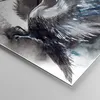 Bilder auf glas - Vogel Natur Feder - 70x70cm - Glasbilder Produktbild-Vorschau 5
