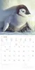 Alpha Edition - Tierbabys Kalender 2026 - Wandkalender Produktbild-Vorschau 4