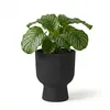 Bloempot met antraciet vulmateriaal, model MILLY Productafbeelding-voorbeeld 4
