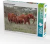 Calvendo Elefantenherde mit Jungtieren 1000 Teile Puzzle Produktbild-Vorschau 1