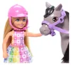Mattel New Chelsea & Pony- Chelsea Voir les images du produit 2