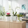 HowHomely | Pflanzgefäß - Blumentopf mit Untersetzer - Produktbild-Vorschau 12