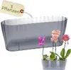 Orchideentopf Transparent Länglicher Orchideenkasten Produktbild-Vorschau 1