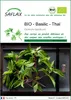 SAFLAX  -- Basilic - Thaï - 250 graines - Ocimum Voir les images du produit 1