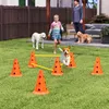 PawHut Agility Set Hunde 3-teiliges Agility-Ausrüstung für Produktbild-Vorschau 2