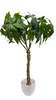 Glückskastanie 60 cm künstlich wie echt Kunstbaum Produktbild-Vorschau 2