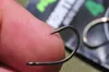 Korda Kontinental Karpfenhaken, Größe:1 Produktbild-Vorschau 5