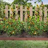 LZQ Rasenkante Metall 106x16 cm – 10 Stück (10 m), Flexibel Produktbild-Vorschau 11