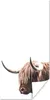 MuchoWow® Poster Schottischer Highlander - Kopf - Weiß Produktbild-Vorschau 1