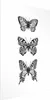 Posterpapier Poster - Three Butterflies 60x90 cm Tiere Produktbild-Vorschau 1