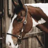Kentucky Horsewear Licol d'écurie cuir marron complet Voir les images du produit 4