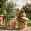 Teramico "Cilindro Cipressi" Blumentopf Terracotta Produktbild-Vorschau 2