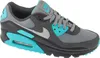 Nike Air Max 90 DM0029-013, Sneaker, Herren, Grau Produktbild-Vorschau 1