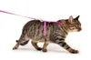 Karlie Art Sportiv Plus Katzen Geschirr mit Leine 110cm, Produktbild-Vorschau 3