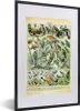 MuchoWow® Gerahmtes Poster Tiere - Vintage - Adolphe Millot Produktbild-Vorschau 1