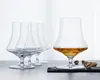 Spiegelau Willsberger Anniversary Whisky, set de 4, verre à Voir les images du produit 9