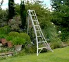 Niwaki Aluminium 3-Holm-Gartenleiter Silber 231x148x303 cm Produktbild-Vorschau 2