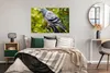 MuchoWow® Poster Eine bunte Wildtaube zwischen den grünen Produktbild-Vorschau 4