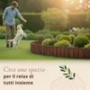 Floranica Bordura per Giardino in legno 10 x 100 cm Marrone Anteprima dell’immagine prodotto 6