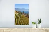 MuchoWow® Poster Foto von einem Weinberg über dem Genfer Produktbild-Vorschau 5