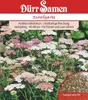Edelgarbe & Schafgarbe Mischung | Garbensamen von Dürr Produktbild-Vorschau 3