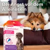 beaphar CaniComfort Wohlfühl Spot-On Produktbild-Vorschau 9
