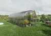 Gewächshaus BALTIC LT 3x6m (L x B) mit 6 mm polycarbonat.

 Podgląd zdjęcia produktu