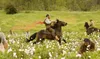 Django Unchained Produktbild-Vorschau 15