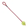 Pallina da tennis al guinzaglio ø 6/50 cm lime Anteprima dell’immagine prodotto 9