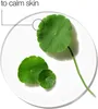 Clinique Moisture Surge Intense 72H Lipid-Replenishing Anteprima dell’immagine prodotto 6