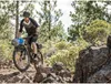 Topeak - Topeak Achterdrager MTB Tetrarack M2 Anteprima dell’immagine prodotto 5